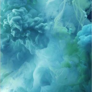 Meet your Posher, Rylee